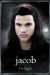 lgpp31688+jacob-twilight-poster.jpg