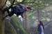 edward-bella-tree-hanging.jpg